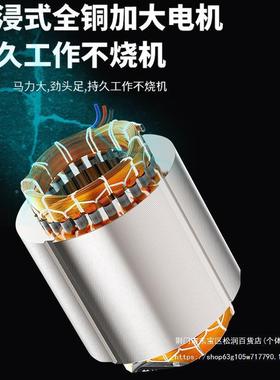 上海人民污水泵38V污地泵家用潜0水泵化粪池工抽水排泵2LLG20V无