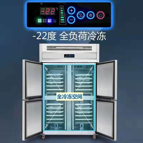 琸赛工插盘柜速冻柜柜风冷不锈保鲜作台冷冻柜饼盘柜海鲜FKG急钢