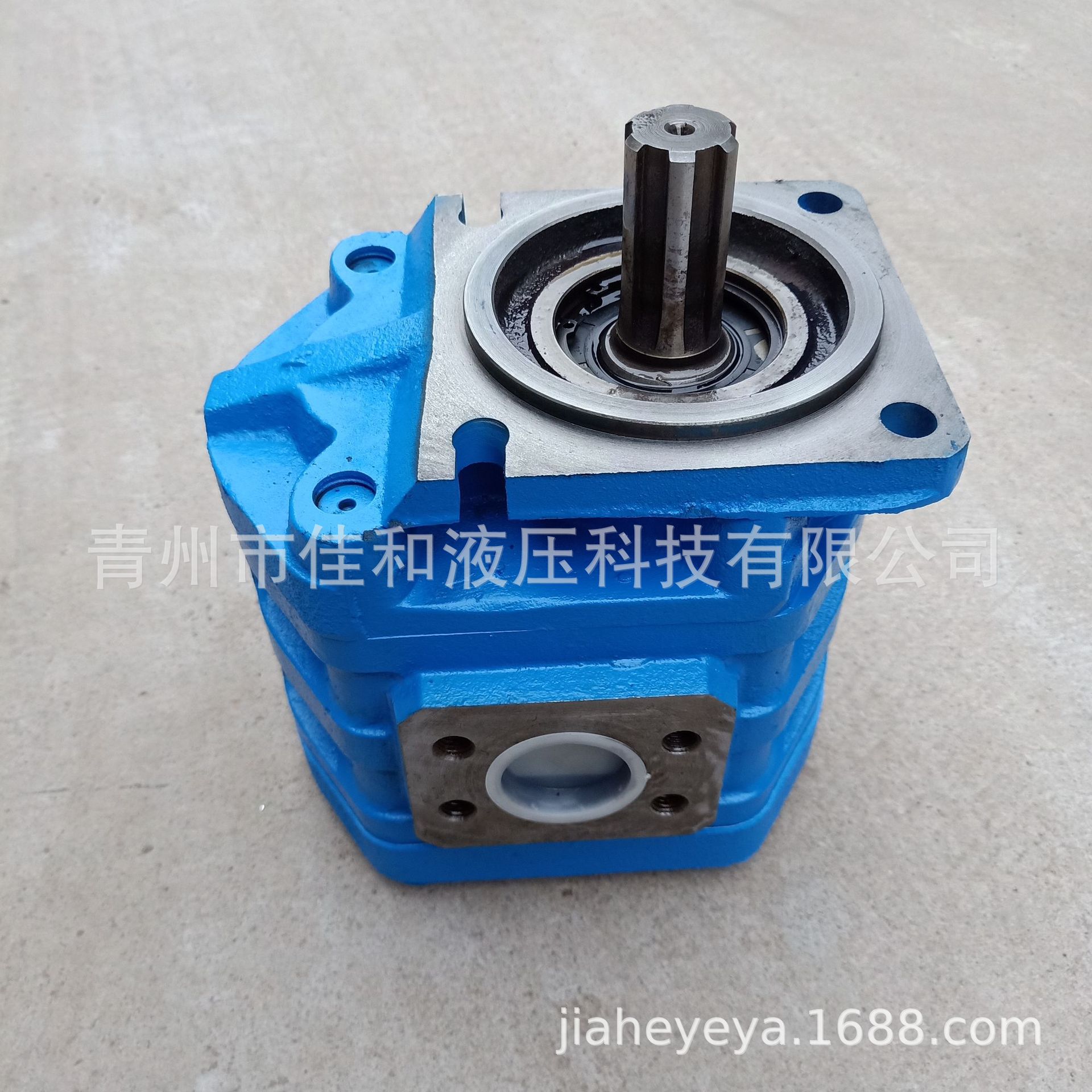 渔船配套大排量CBGJ齿轮泵