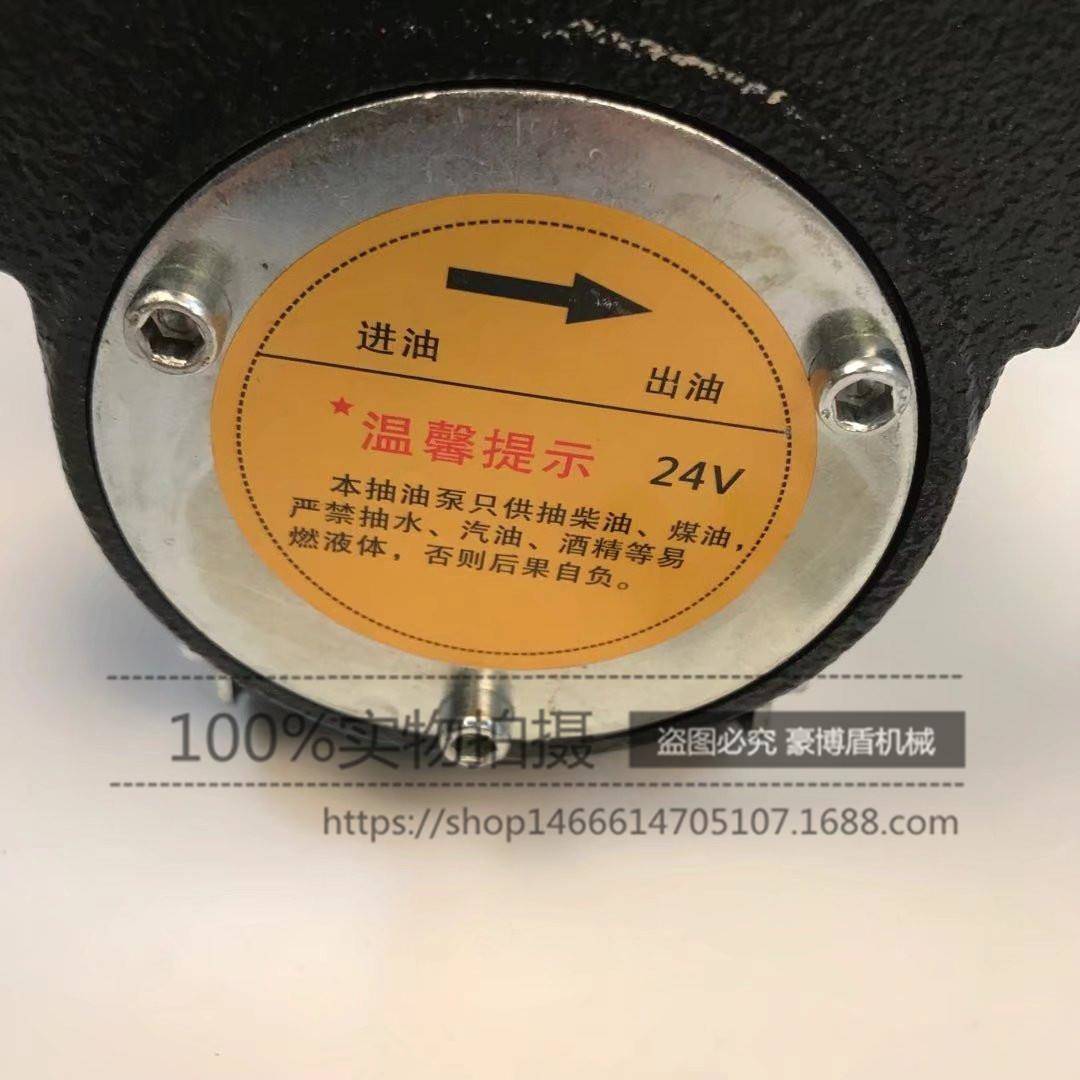 12V2V直流加泵油泵电频油抽油泵电动924柴油泵2400W吸泵厂家直自