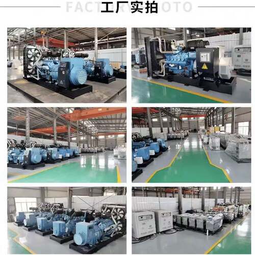 低噪音静音箱发电机组50K6W10K0KW150W200KW30050KW静音W500KW00K