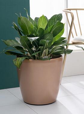 北欧简约式客懒落地厅圆形大3002PS3号特大号背吸水龟花盆