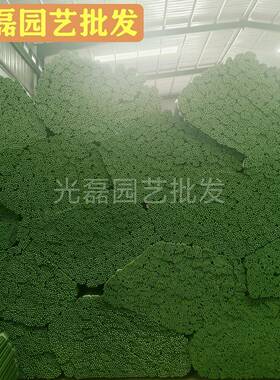 植物爬架包塑钢管园艺藤XJU支架架植物爬藤架花葡黄萄架瓜豆角架