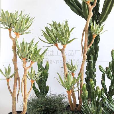 大仙人柱沙生植物量天尺大型沙生超景观FZS99900橱窗造仙景仿掌真