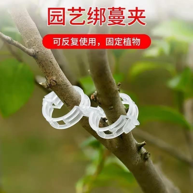 植果绿树植物吊固定夹撑卡扣藤蔓固定器秧YIR苗爬藤支杆果蔬秧苗