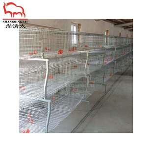 元宝肉鸡笼 肉鸡饲喂笼具 养鸡笼子 鸡用成长笼 畜牧养殖设备