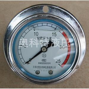 无锡惠耐华震表压力表/抗压震力60表YN60-III面轴出充油