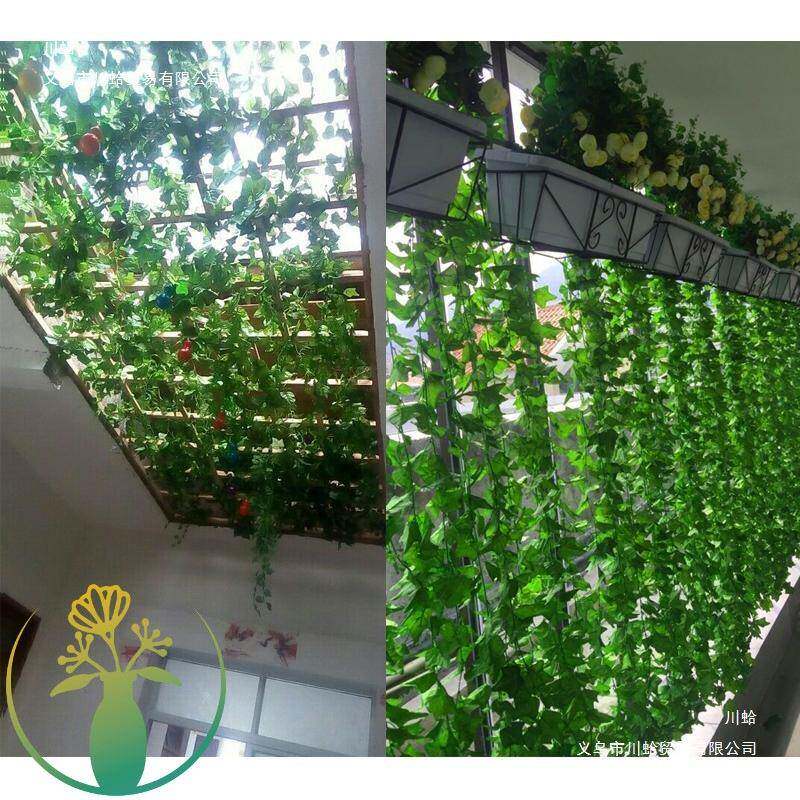绿萝叶假藤葡条萄树叶吊顶花管道装饰蔓塑料绿F96JSHS5植物缠藤绕