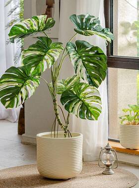 北FJY风镁泥花创意简约水波盆纹代盆大号现落地客厅庭院阳台绿植