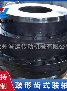 诚运传动鼓形式轴器GIICLZ轮带制动轮式联595安装齿轴齿承