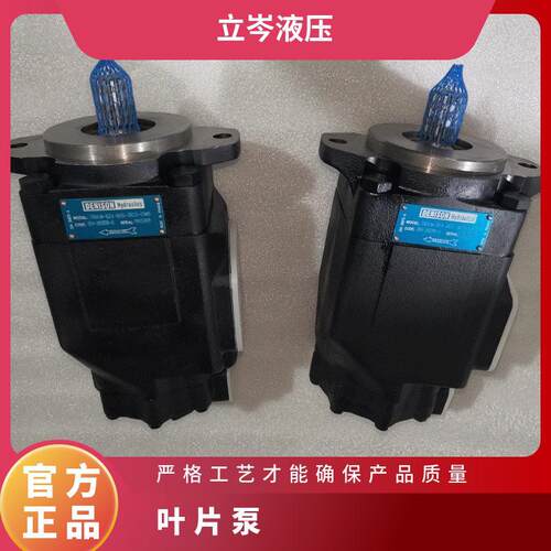 丹尼逊DENISON叶片泵T6ED-066-045-1R03-B1T6ED-066-042-1R00-B