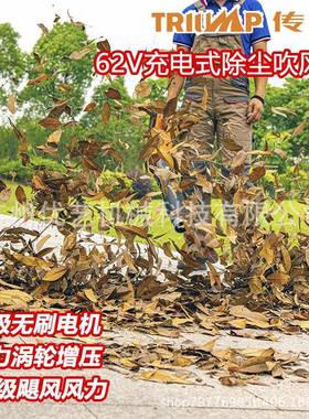 传峰62V手提大功率吹树叶机充电式工业吹风除尘机TPBL6205鼓风机