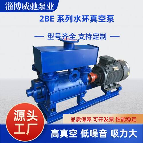 2BE水环式真空泵大型工业用耐腐蚀水环真空泵压缩机2BEA/2BEC系列
