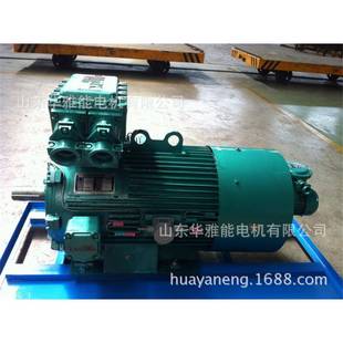 50HZ 22KW电机IP66防护等级YZR等级B35标准双伸轴415V YZRE225M