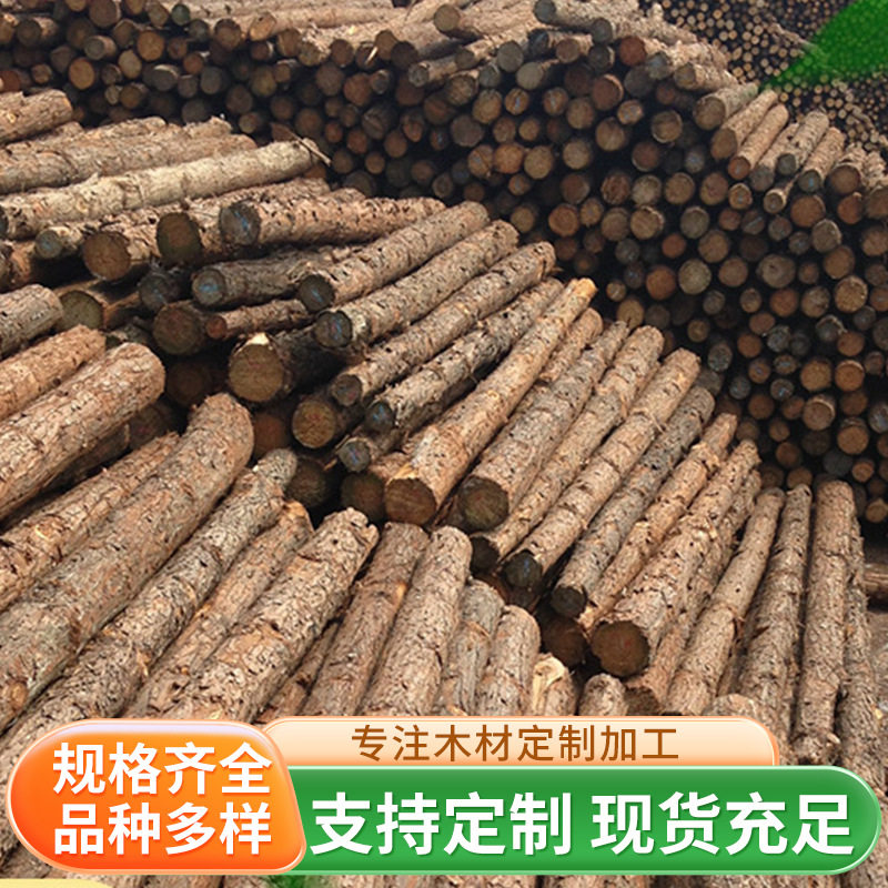 一手货源杉木原木 柳杉原木桩 柳杉打桩木 河道打桩木 杉木桩