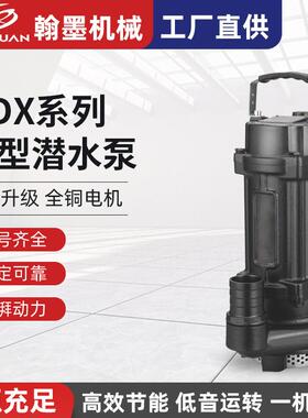 Q(D)X系列小型潜水泵大流量农田灌溉抽水机农用高杨程清水潜水泵