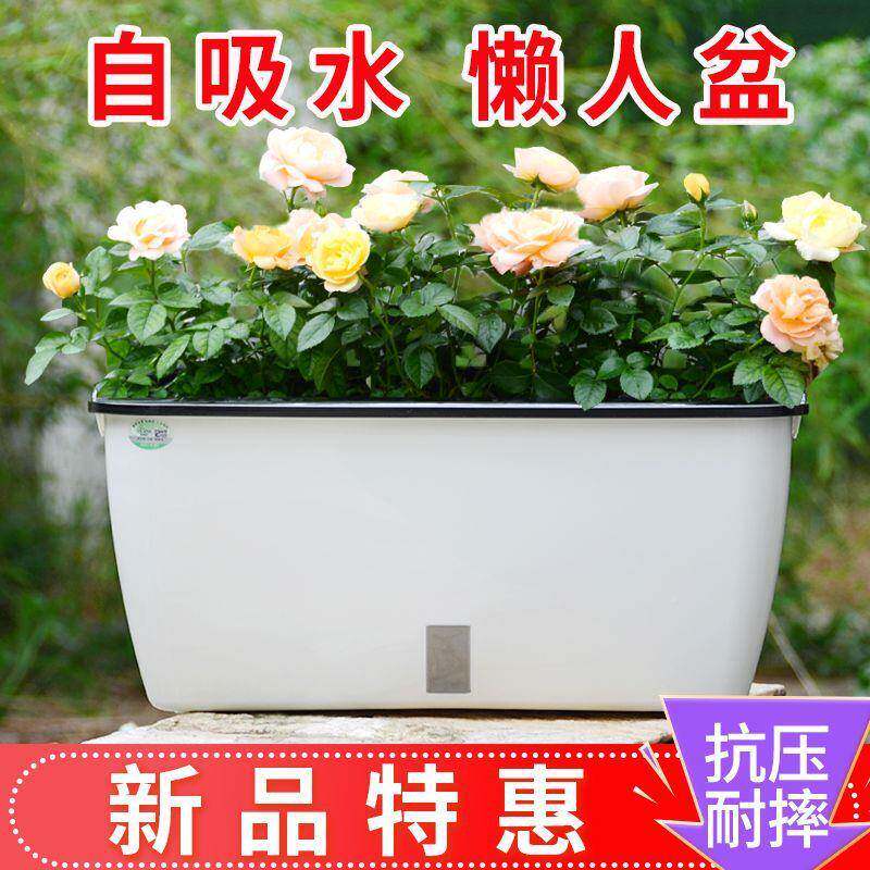 萝自动S7f55fU2吸水人花植盆绿盆栽塑料蔬菜懒种盆阳台箱长方形种
