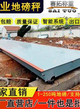 耀华电子地磅m10t20称t3SCS0t40t50吨4m汽5m6称粮食收废品车称重