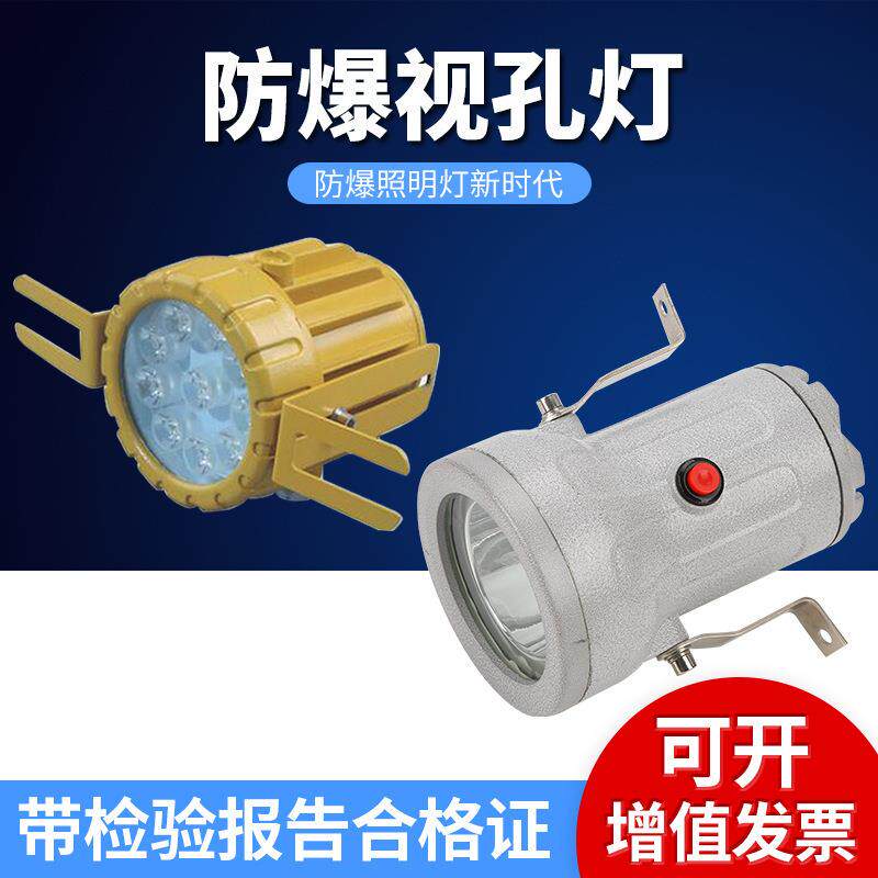 BSD-100防爆视孔灯隔爆型视镜灯LED安全照明灯3/5/710w探照灯
