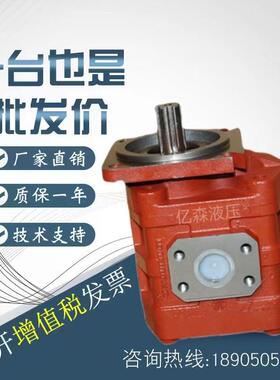 济南泉城液压双联齿轮泵CBG2063/2063装载机液压泵CBG2050/2050