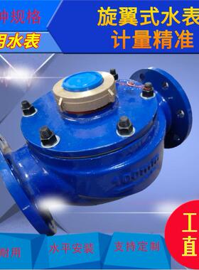 直销铁壳大肚子旋翼式南瓜水表DN80DN100DN150大口径法兰