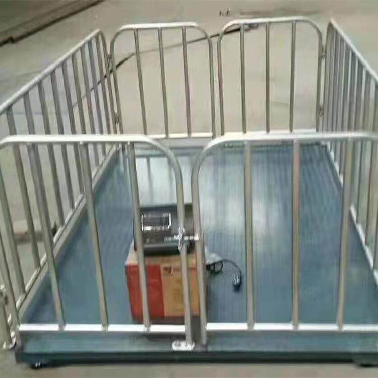 世昌养殖地磅小型地磅称猪电子地磅小型电子秤