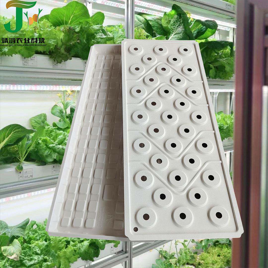 33大孔植物种植托盘水培托盘白色育苗盆室内温室大棚塑料花盆