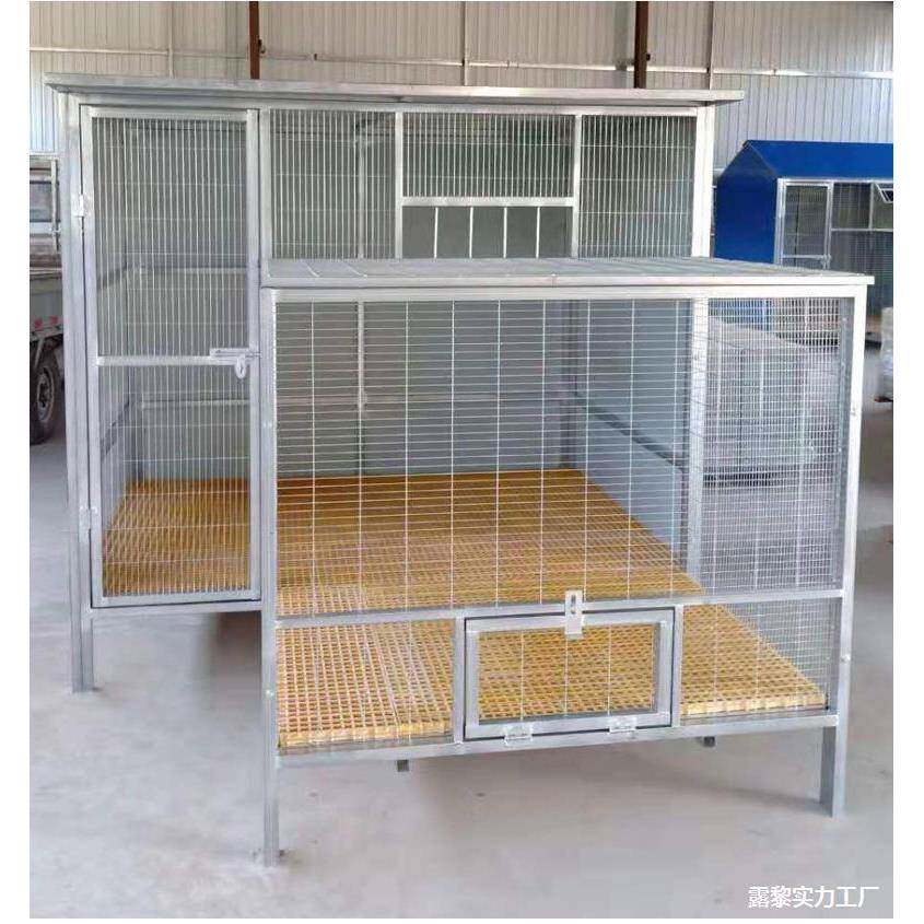 鸽子笼家用大型鸽笼白鸽养殖鸽舍配对铁笼巢拼装种鸽繁殖大号鸽舍