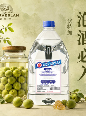 大桶伏特加泡酒必备纯净不抢果味