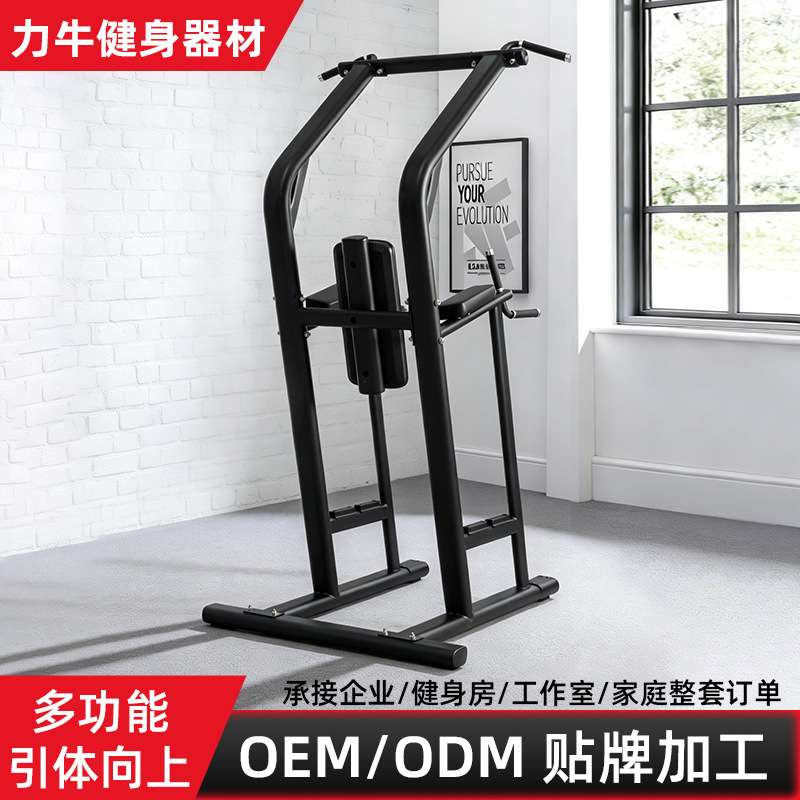 单双杠落地健身房商用器材多方位肌肉训练器室内引体向上单杠家用