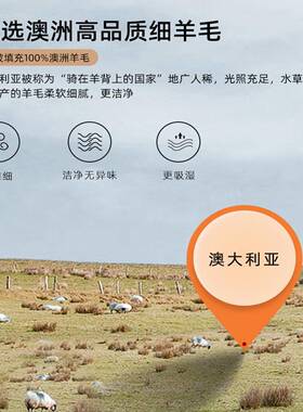 ASXK类口羊冬毛大豆纤维被暖加厚保单双人学生被子被芯冬进季