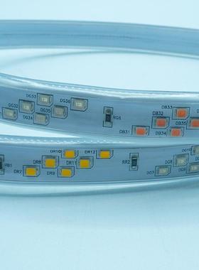 rgb带防水20v幻彩50灯5l0追光流水霓虹ejyzm-hc0d2灯条跑马灯遥控