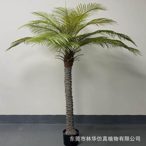 仿真针葵树北欧风仿真绿植盆景园林造景仿真小椰子树