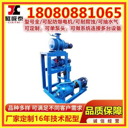 2SK循环水真空泵20M3/Min水环真空泵真空压缩机组系统无油耐高温