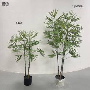 新款仿真针状仿真盆裁带盆绿色棕竹仿真景观树价格塑料材质