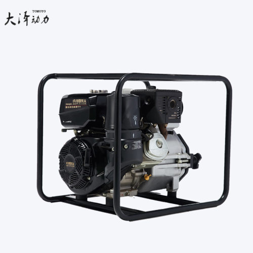 园林建设用大泽动力2寸柴油自吸水泵内燃抽水灌溉排污水TO20EW
