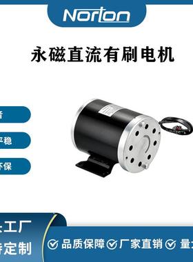 ZY1020-800W36V有刷直流电机滑板车电机