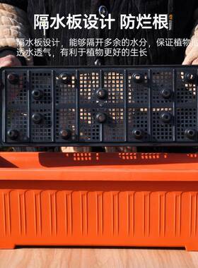 长方形花盆塑大料家庭阳种台菜神加器长条树脂号厚耐用蔬菜种SWDC