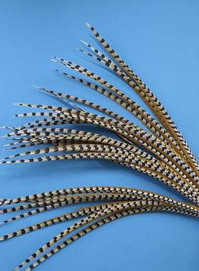 厂家鸡尾YNN11装0-120CM翎子天然台地鸡毛戏剧服装饰舞装饰道具