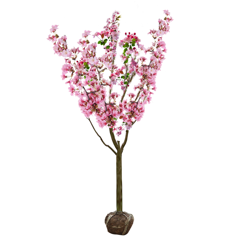 西府海棠树苗庭院耐寒植物室外地栽四季开K花北美垂丝海棠盆栽花