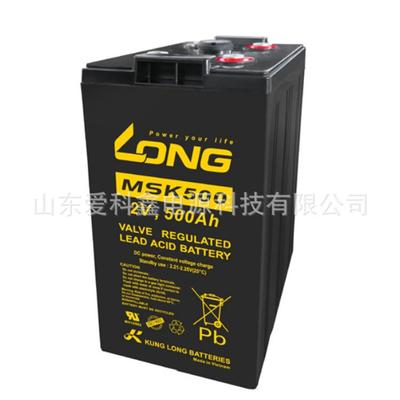 LONG蓄电池MSK500广隆2V500AH通讯机房储能电池
