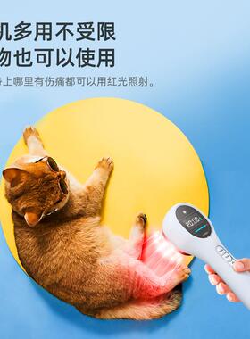 爆款家居新款便携式红光红外线650nm+808nm结合理疗手持式