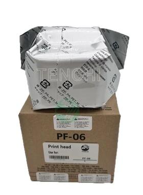 原装PF-06打印头TX-53005400TM-52005300300