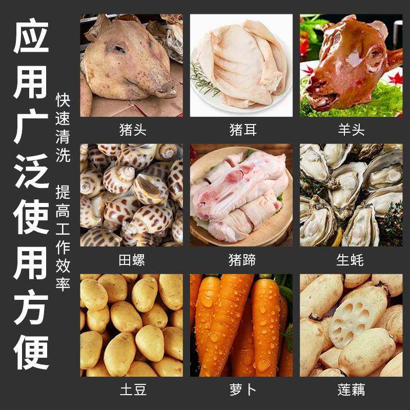 头猪蹄鸡爪辊清洗HSB机牛蹄猪生蚝毛洗机商清用胡萝卜红薯芋头清