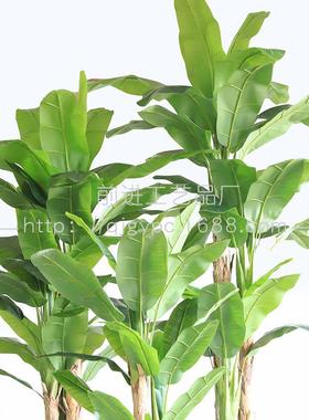 现货绿植酒店餐饮GL-63321店带雨观林景造景假植物热栽盆芭蕉树绿