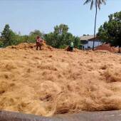 丝垫椰料然椰棕丝天纤维园艺椰壳丝丝铺面UNF鸟窝花盆填椰充物椰