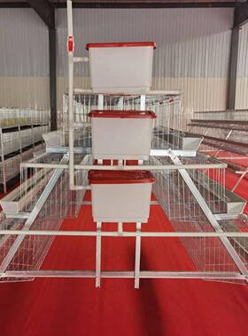 层叠多笼式H型鸡笼鸽子鹌鹑KES养殖框A架笼具层热镀锌型阶梯蛋鸡