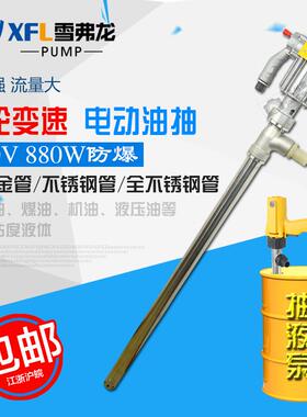 手提式电动抽桶油泵2QUD20油桶泵柴油泵泵全自动油抽器加油V加油