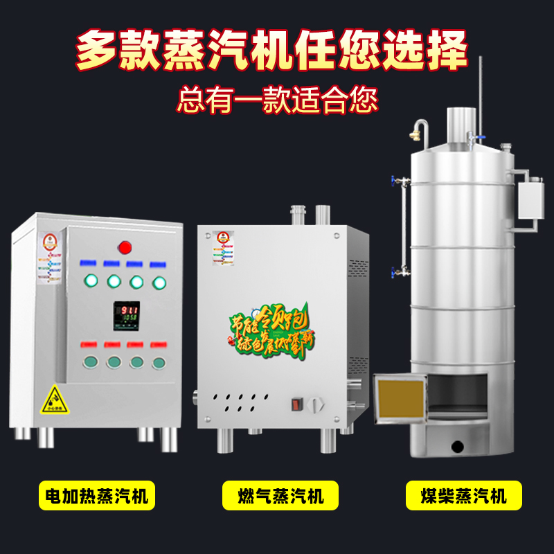 欣顺昊商用不锈钢煤柴锅炉燃气节能蒸汽发生器蒸包炉电加热蒸汽机