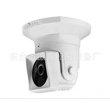 YTH-IRB036F/H船舶半球摄像机厂家推荐船用红外摄像头